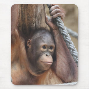 OrangUtan 002 Mouse Mat