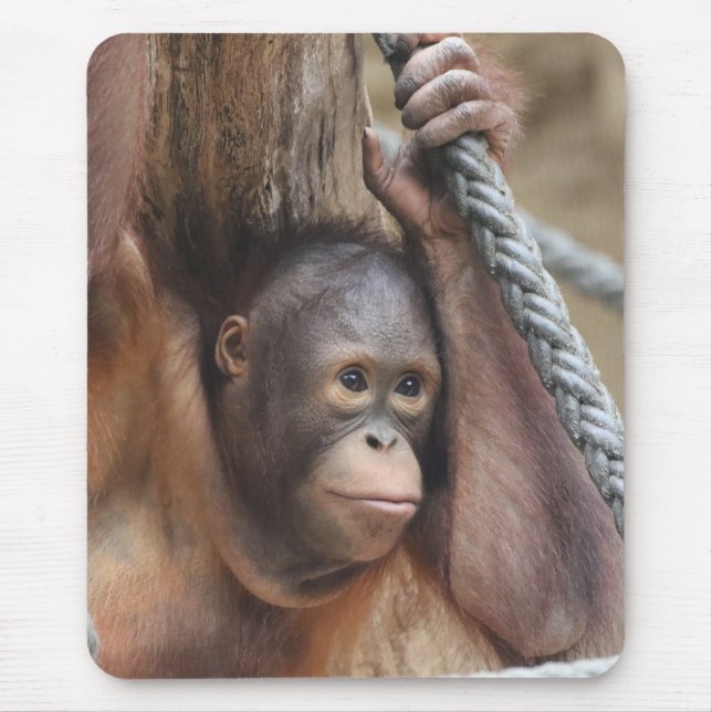OrangUtan 002 Mouse Mat (Front)