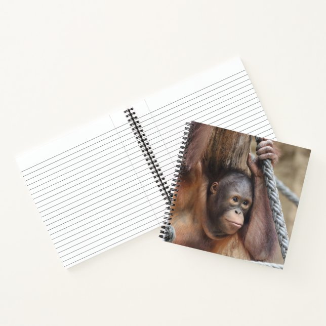 OrangUtan 002 Notebook (Inside)