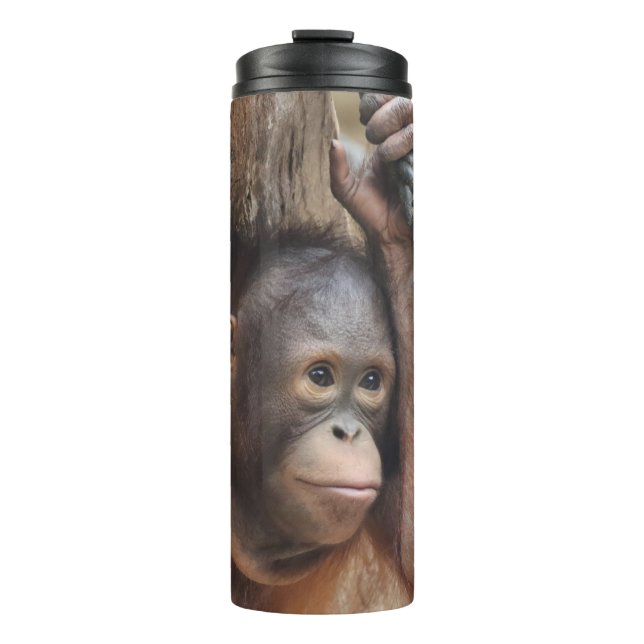 OrangUtan 002 Thermal Tumbler (Front)