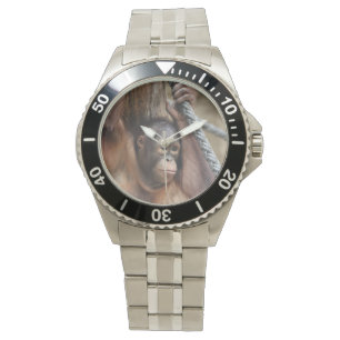 OrangUtan 002 Watch