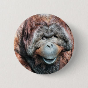 ORANGUTAN 6 CM ROUND BADGE