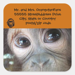 Orangutan address label Official Logo