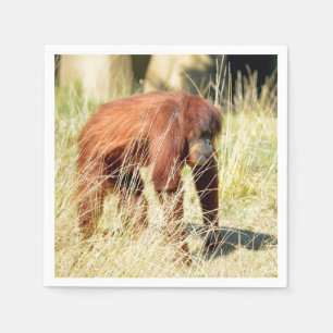 Orangutan among tall grasses napkin