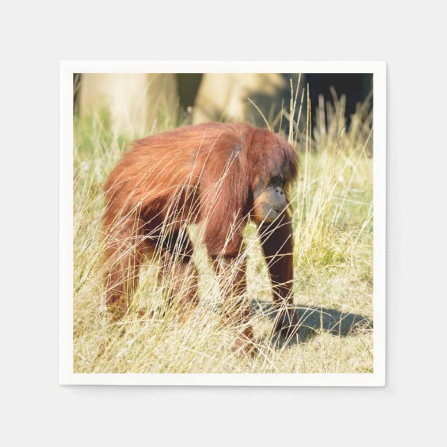 Orangutan among tall grasses napkin (Front)