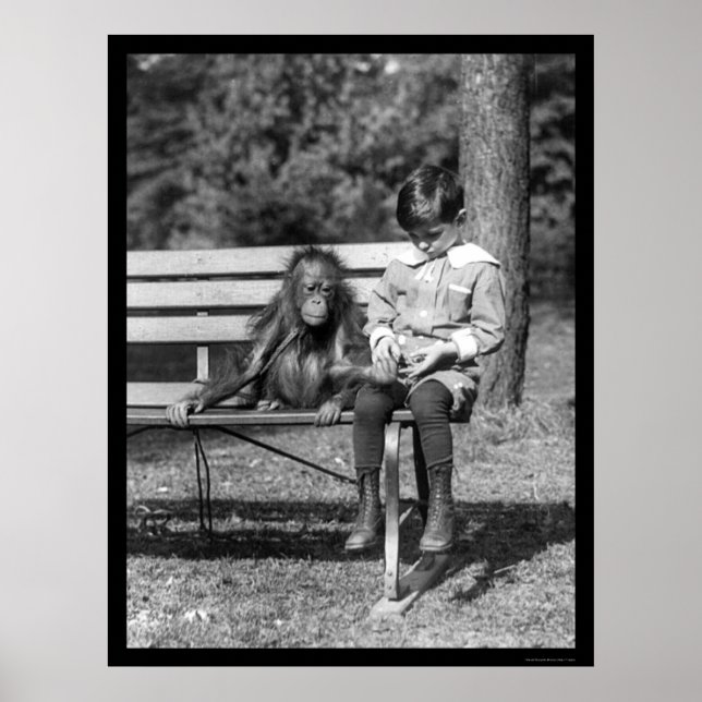 Orangutan and Boy in Park 1920 Poster (Front)