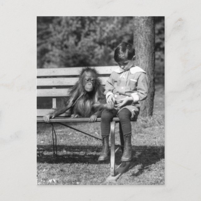 Orangutan and Boy - National Zoo Postcard (Front)