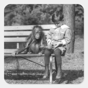 Orangutan and Boy - National Zoo Square Sticker
