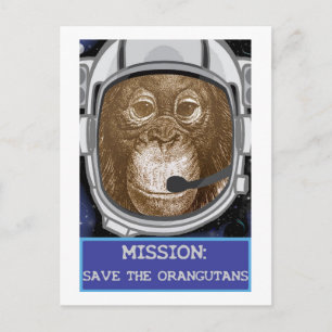 Orangutan Animal Mission Postcard