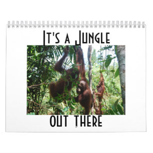 Orangutan Animal Photography Calendar