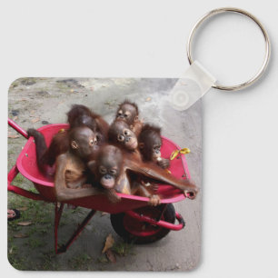 Orangutan Babies Key Ring