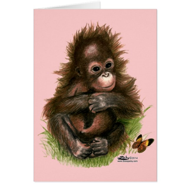 Orangutan Baby and Butterfly (Front)
