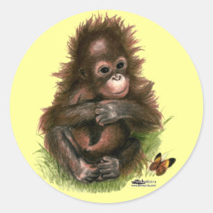Orangutan Baby and Butterfly Classic Round Sticker