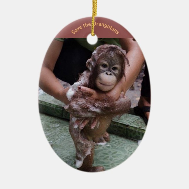 Orangutan Baby Ceramic Tree Decoration (Front)