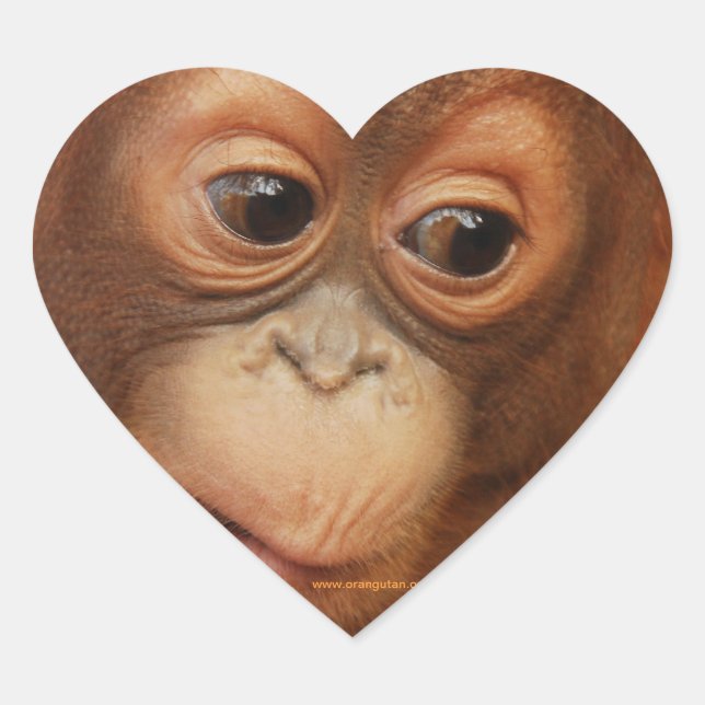 Orangutan Baby Face Heart Sticker (Front)