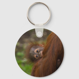 Orangutan Baby Having A Peek Key Ring
