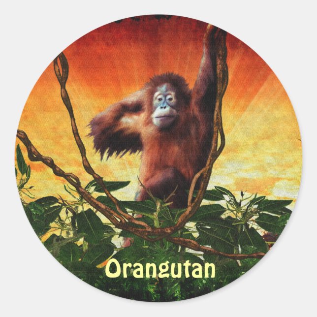 Orangutan Baby & Jungle Great Ape Primate Stickers (Front)