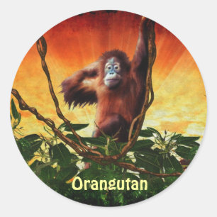 Orangutan Baby & Jungle Great Ape Primate Stickers