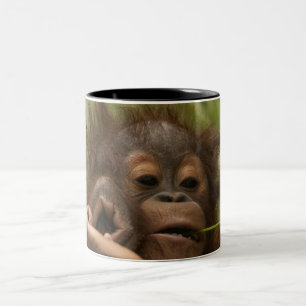 Orangutan Baby Two-Tone Coffee Mug