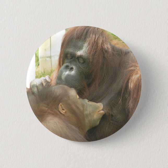 Orangutan Breastfeeding 6 Cm Round Badge (Front)