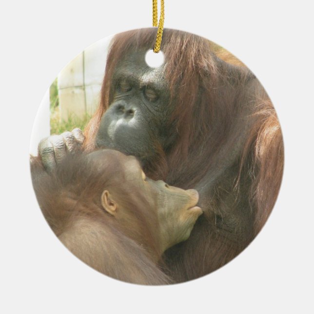 Orangutan Breastfeeding Ceramic Tree Decoration (Front)
