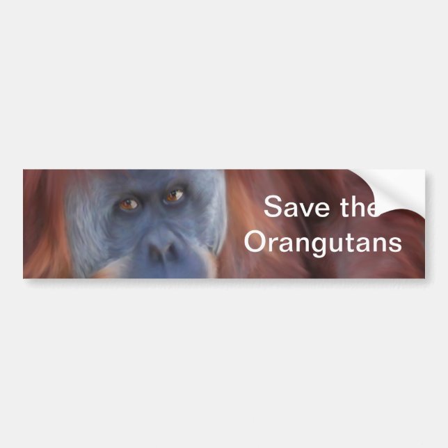 Orangutan Bumper Sticker (Front)