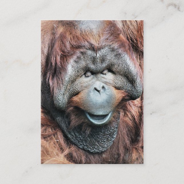 ORANGUTAN BUSINESS CARD (Front)
