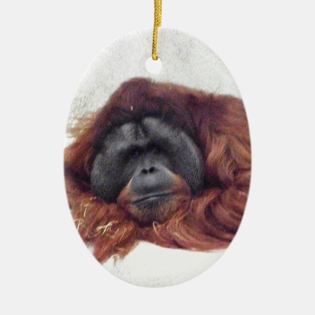 Orangutan Ceramic Tree Decoration (Front)