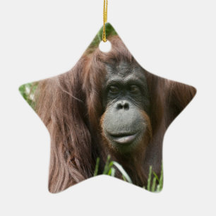 Orangutan Ceramic Tree Decoration