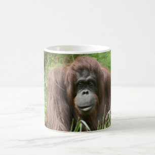Orangutan Coffee Mug