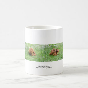 Orangutan Coffee Mug