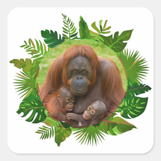 Orangutan Family Bond Square Sticker (Front)