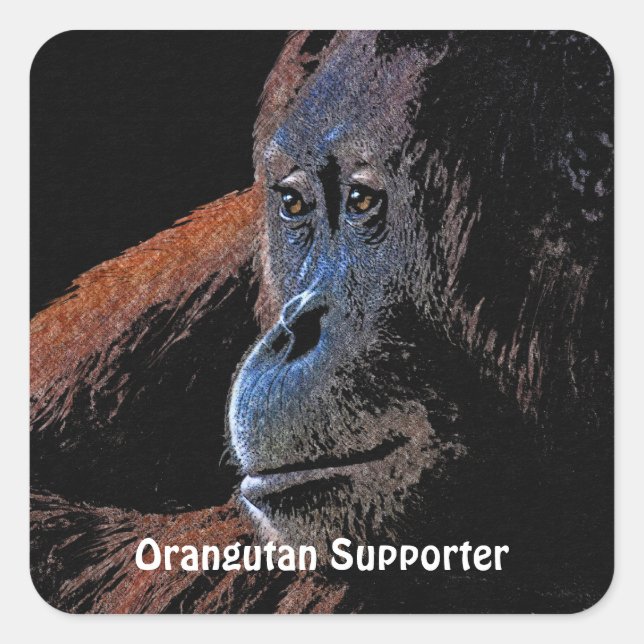 Orangutan Great Ape Primate Stickers (Front)