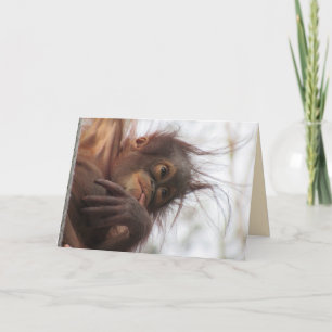 Orangutan Greeting Card