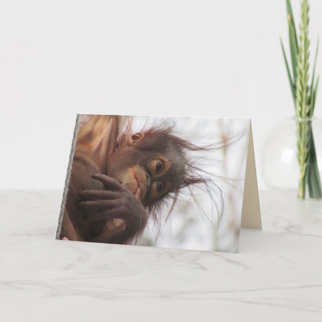 Orangutan Greeting Card (Front)