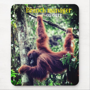 Orangutan hanging in tree mouse mat
