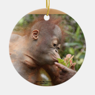 Orangutan Holiday Treats Ceramic Tree Decoration