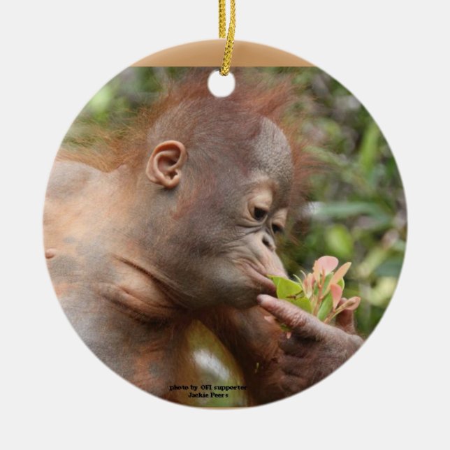 Orangutan Holiday Treats Ceramic Tree Decoration (Front)