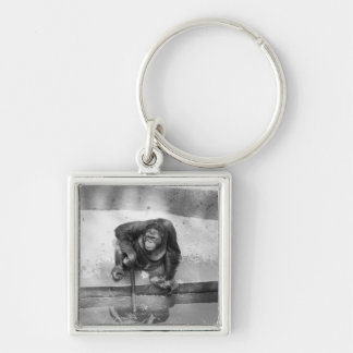 Orangutan Key Ring