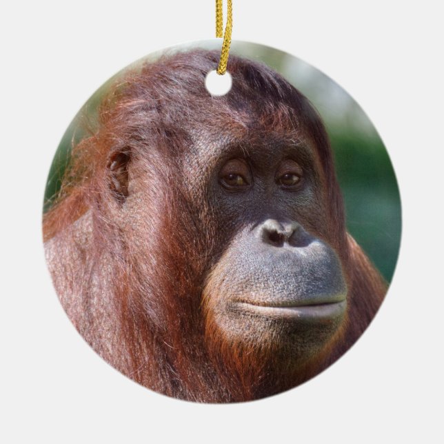 Orangutan Lady Ceramic Tree Decoration (Front)