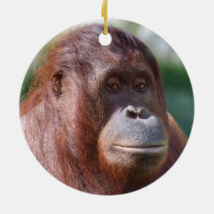 Orangutan Lady Ceramic Tree Decoration