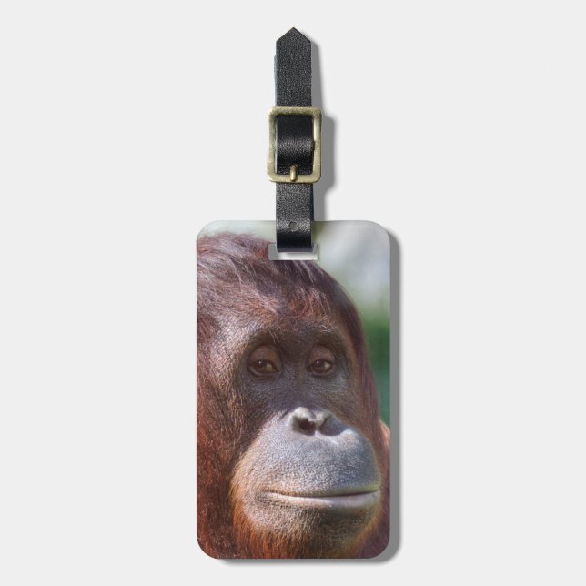 Orangutan Lady Luggage Tag (Front Vertical)