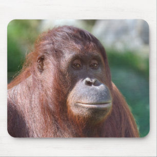 Orangutan Lady Mouse Mat