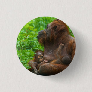 Orangutan Mother and Babies  3 Cm Round Badge