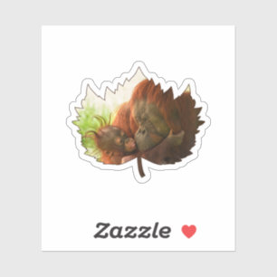 Orangutan Mother And Baby