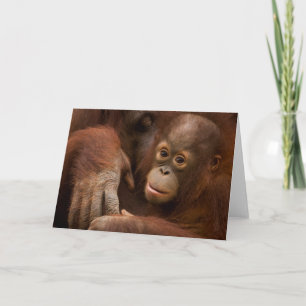 Orangutan Mother and Baby at the Zoo Card