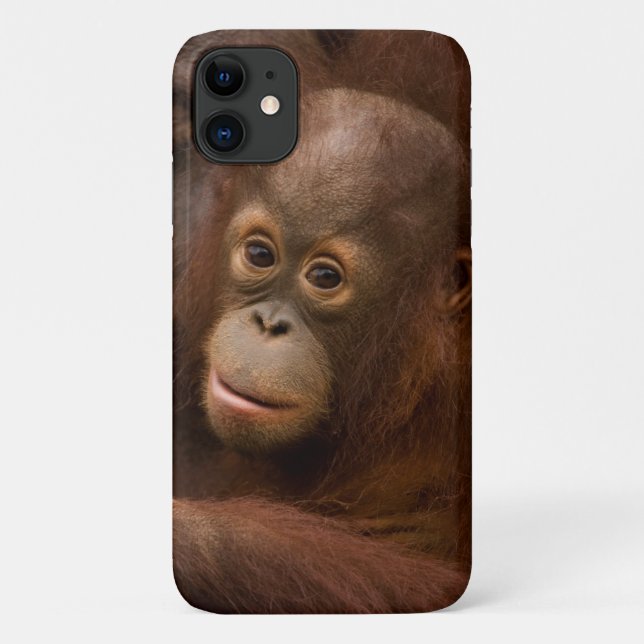 Orangutan Mother and Baby at the Zoo Case-Mate iPhone Case (Back)