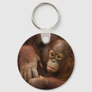 Orangutan Mother and Baby at the Zoo Key Ring