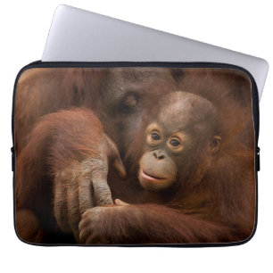 Orangutan Mother and Baby at the Zoo Laptop Sleeve