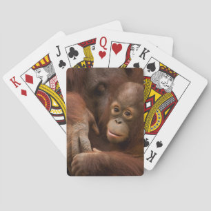 Orangutan Mother and Baby at the Zoo Playing Cards